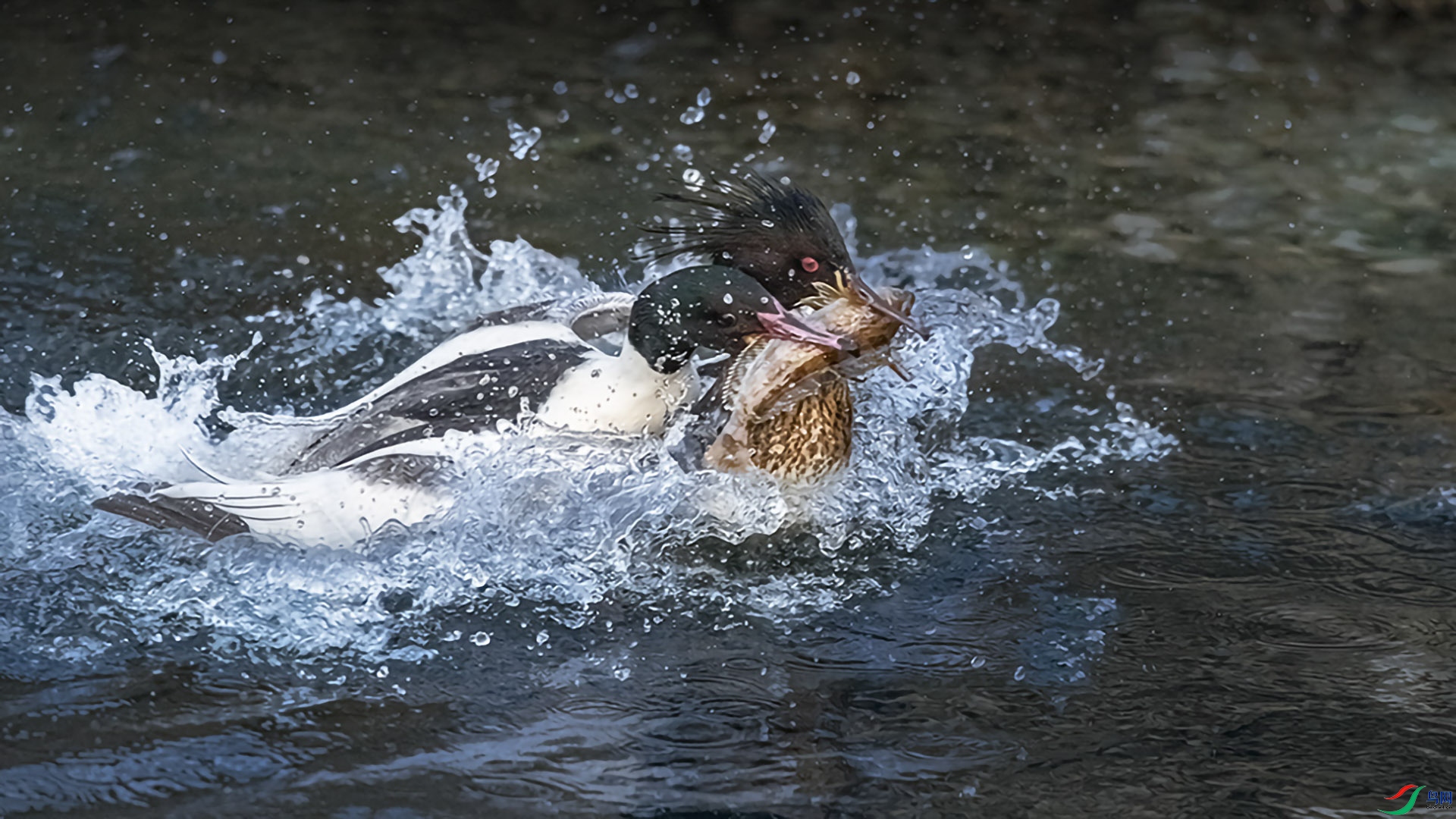 _K8I2343  ��ͼ 02.jpg