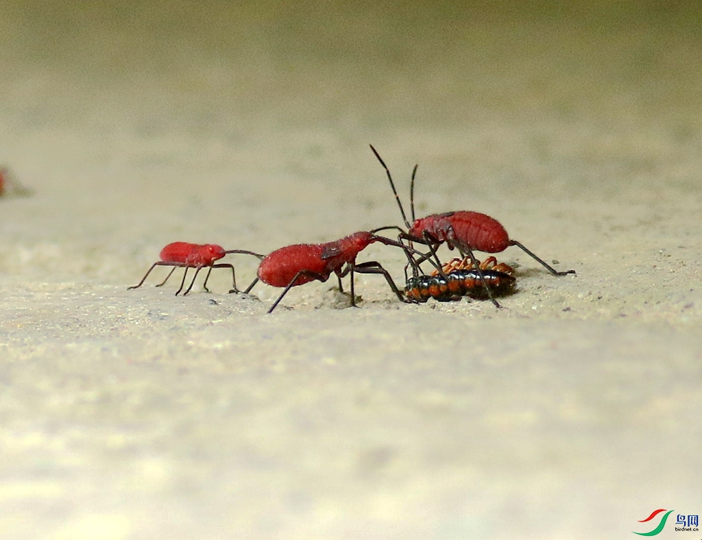 367A2261_����.jpg