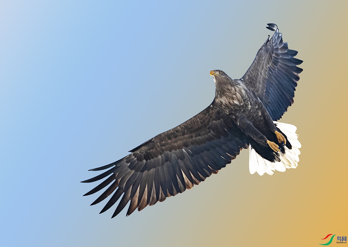 Ϧ���µ�����