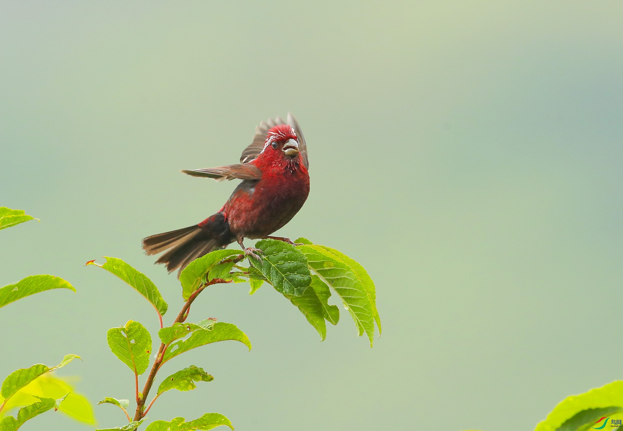 ��-��Ϊ���ܶ���---1- (2).jpg