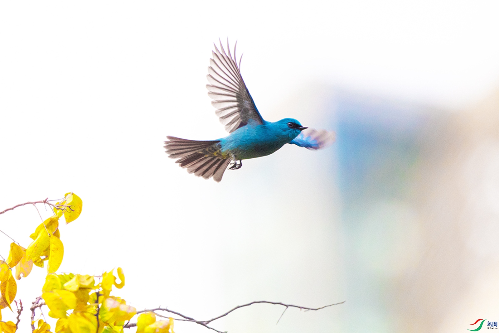 ��LPY_3705.jpg