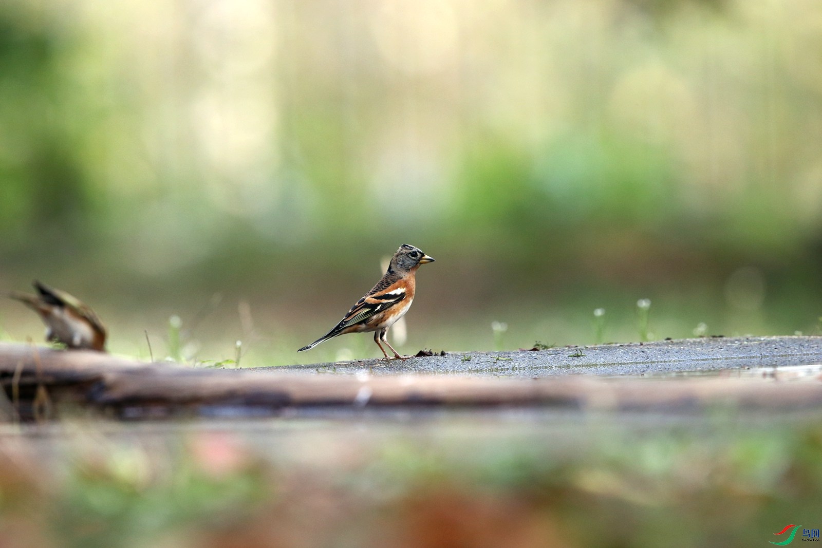 DJ4W5396.JPG