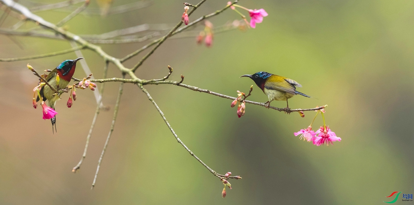 _DSC9978-Pano - ����.JPG