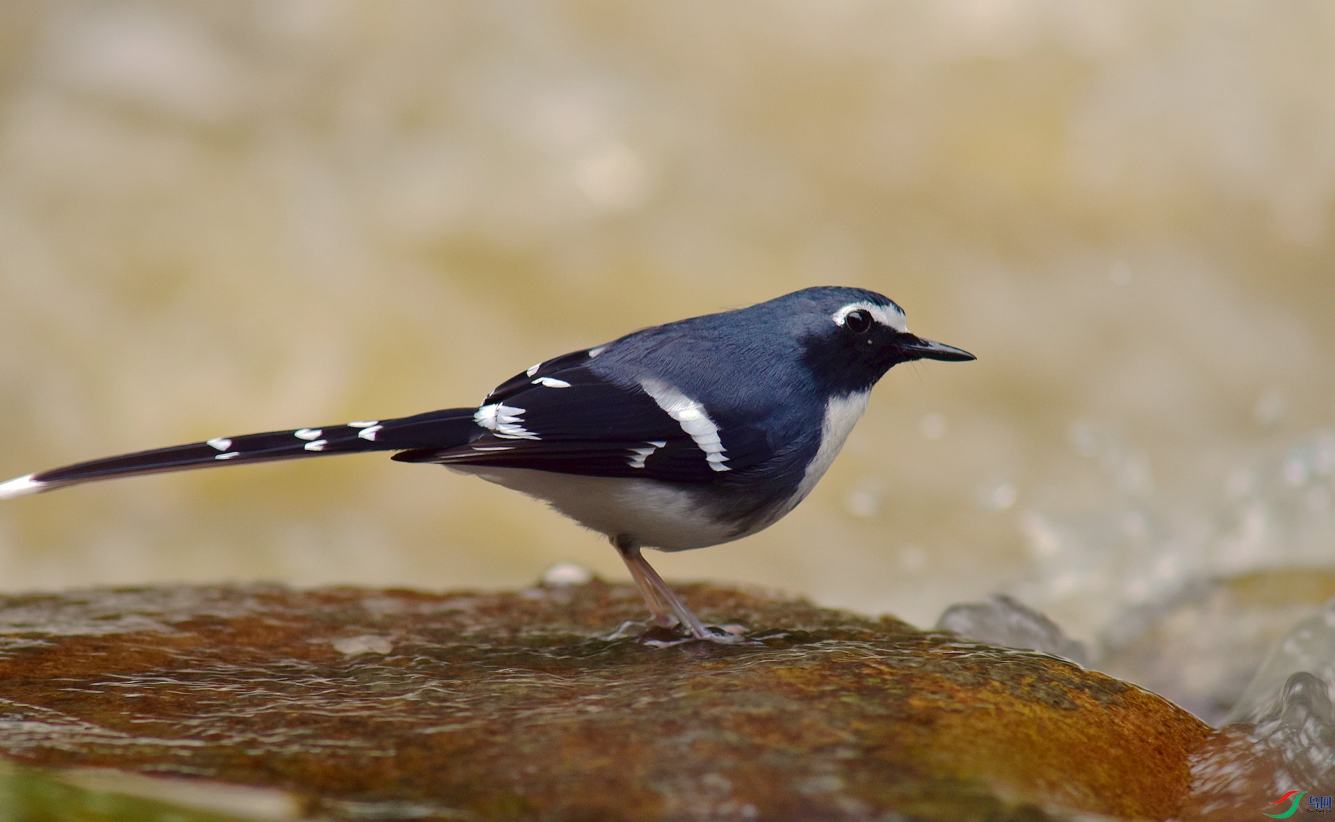 D8I_5888.jpg