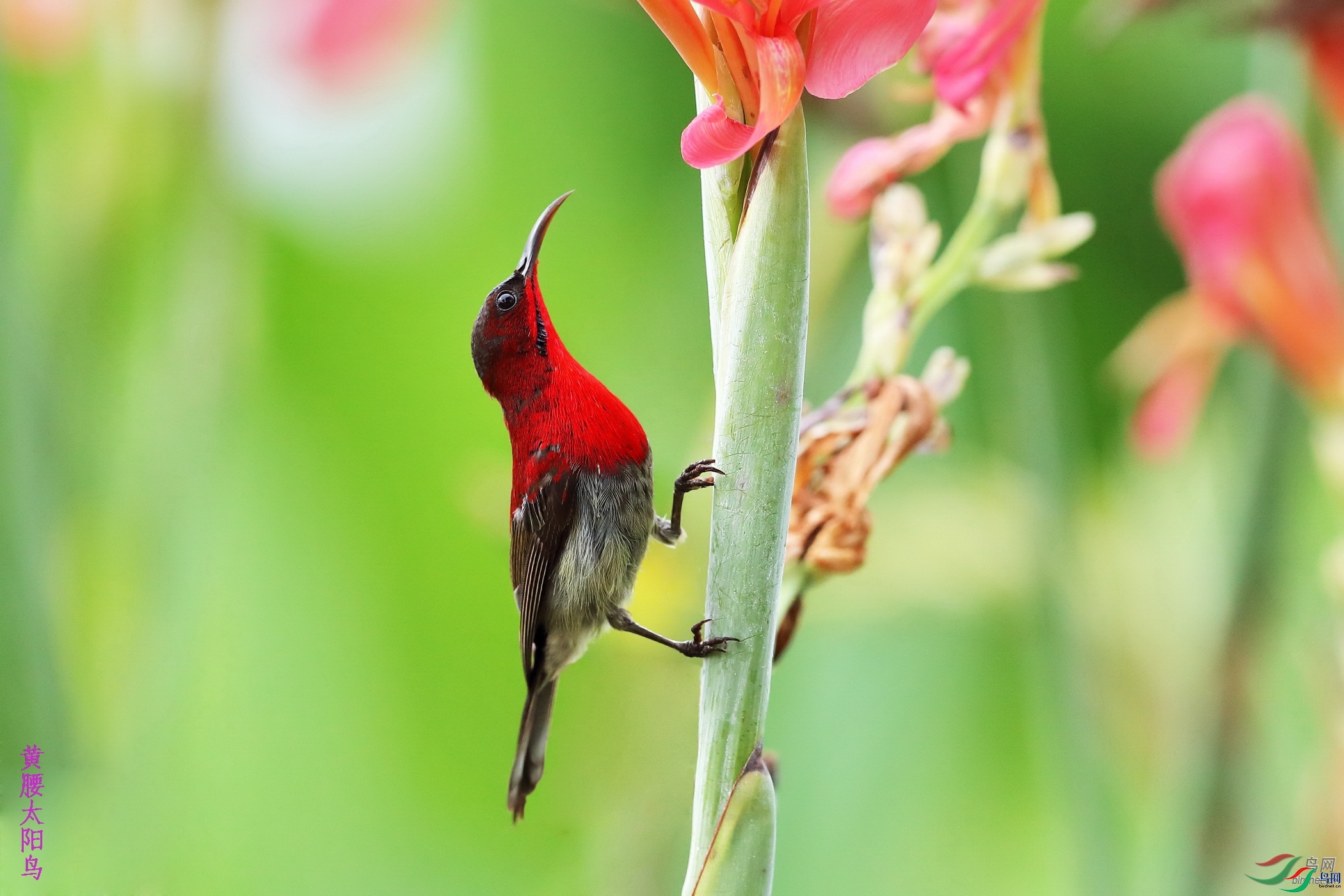 ����һ��ˮ  ��ʦ�����ڹ���׳��������������.jpg