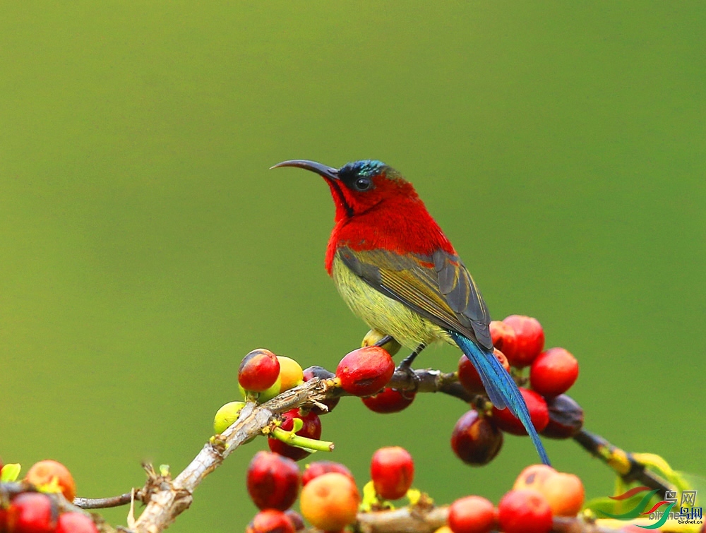 ������� ��ʦ����������ʡ��ɽ��.jpg