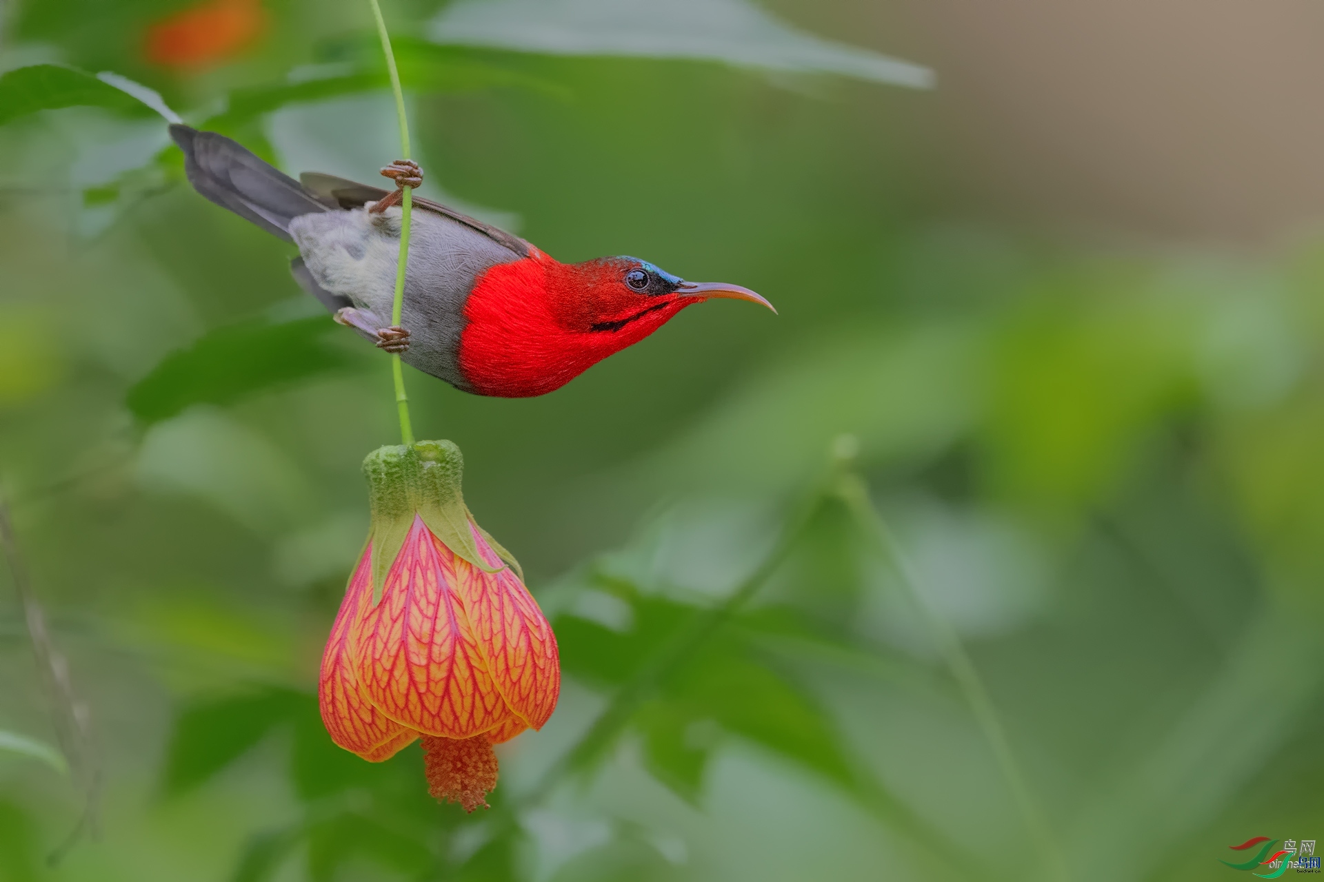 ��  ��ʦ�����ڹ���׳��������������.jpg