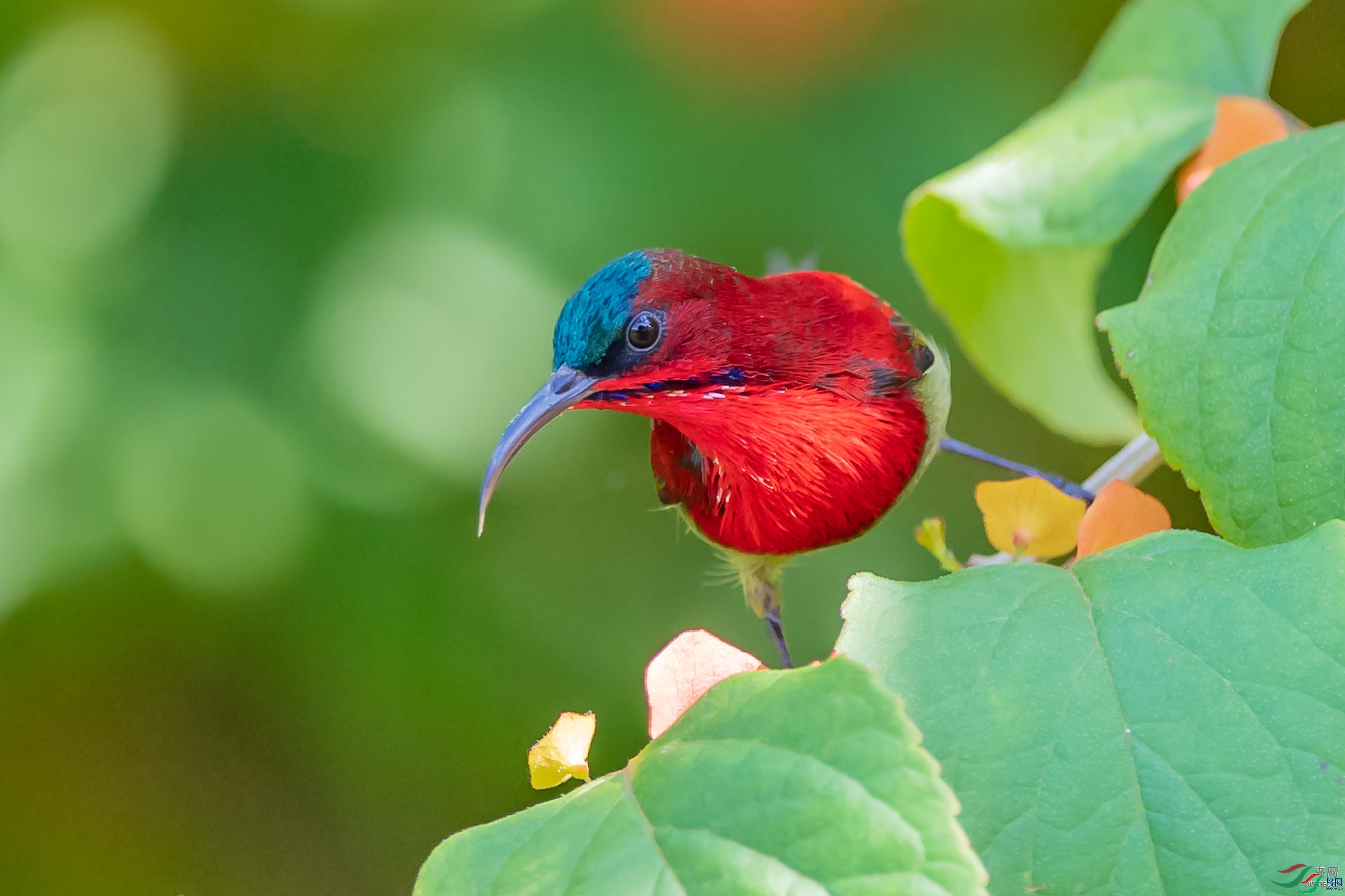 ��ľ����  ��ʦ�����ڹ㶫��������.jpg