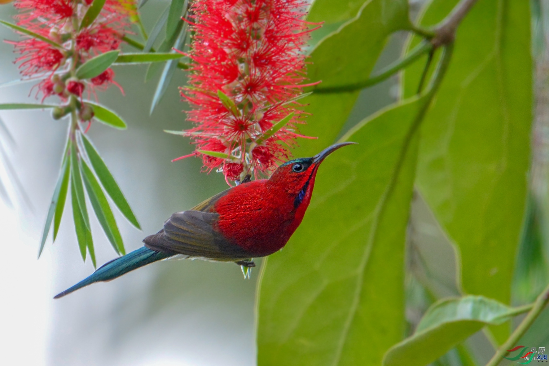 �ﺮ ��ʦ����������ʡ��˫���ɴ��������� ������.jpg