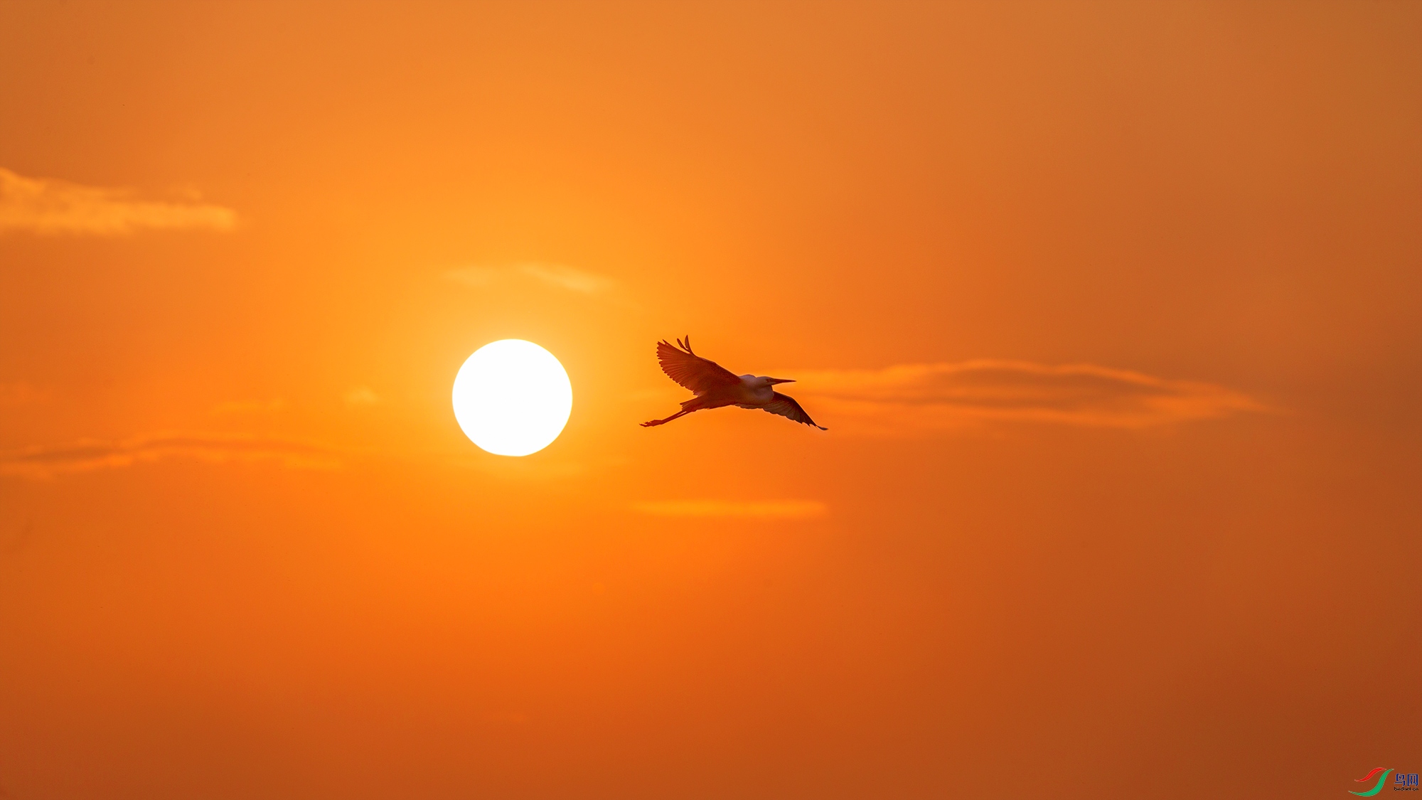 A15J8917-20220217-2.jpg