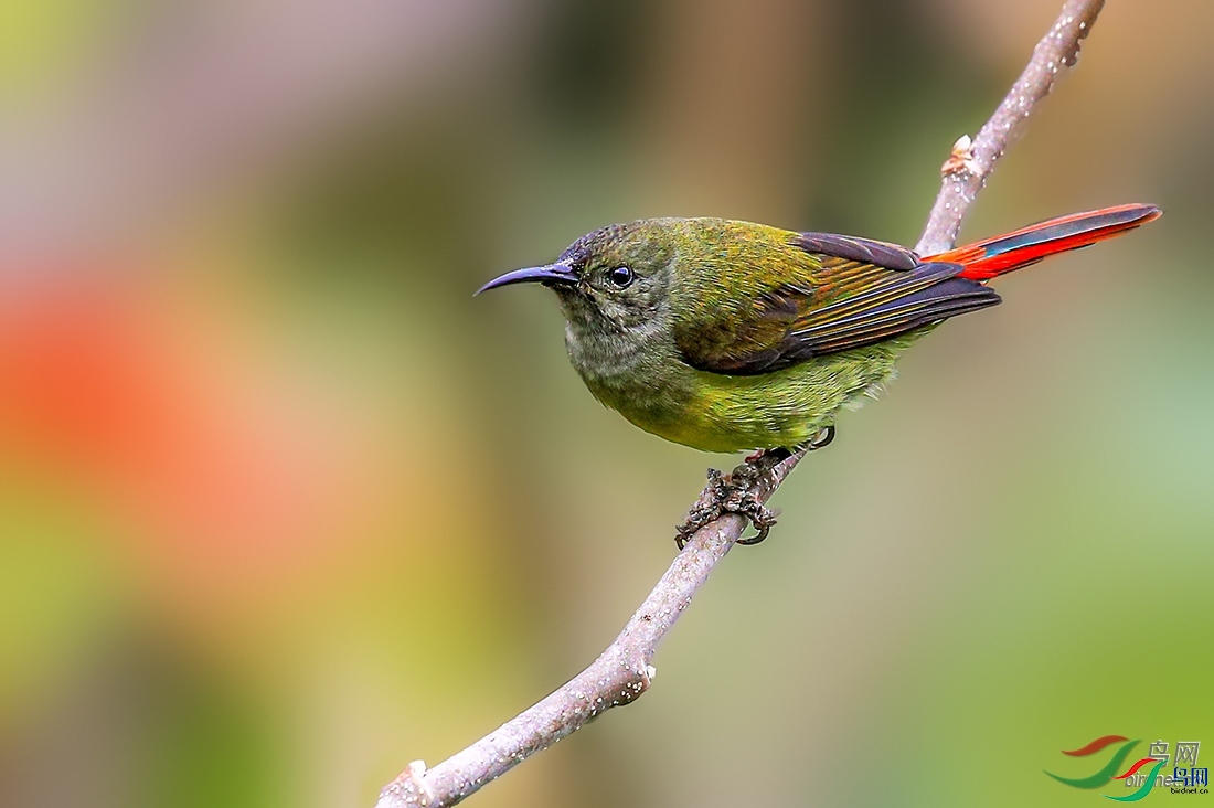 ����  ��ʦ����������ʡ��ɽ��.jpg