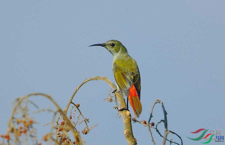 ��Ȼ�п�  ��ʦ����.jpg