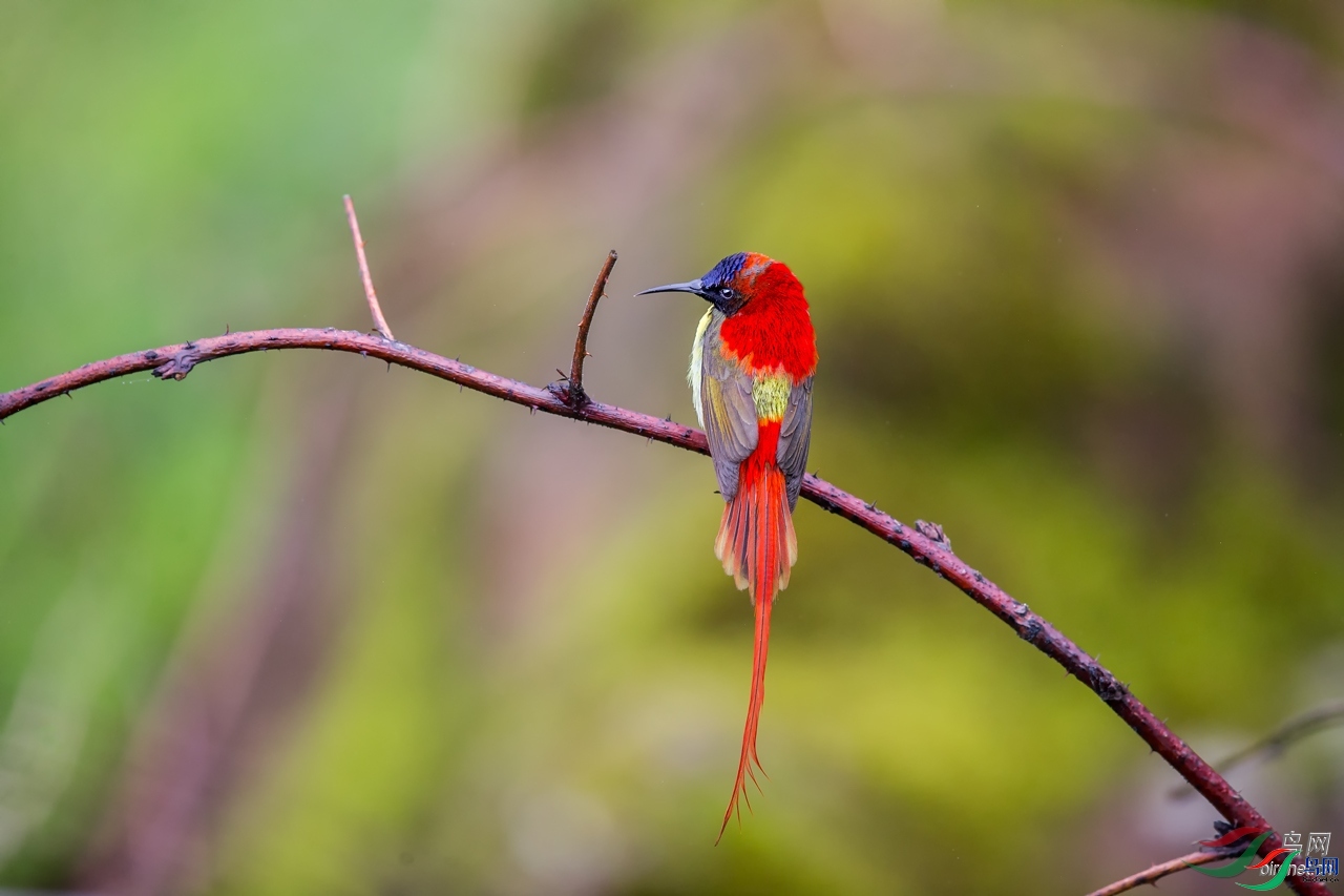 ��ͷ����  ��ʦ����.jpg