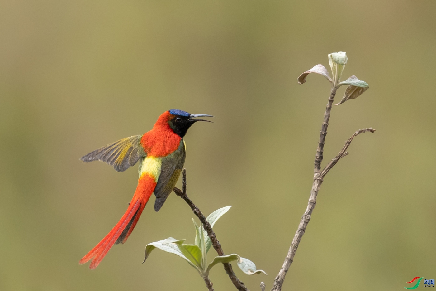 ��ľľ  ��ʦ����������ʡ��ɽ��.jpg