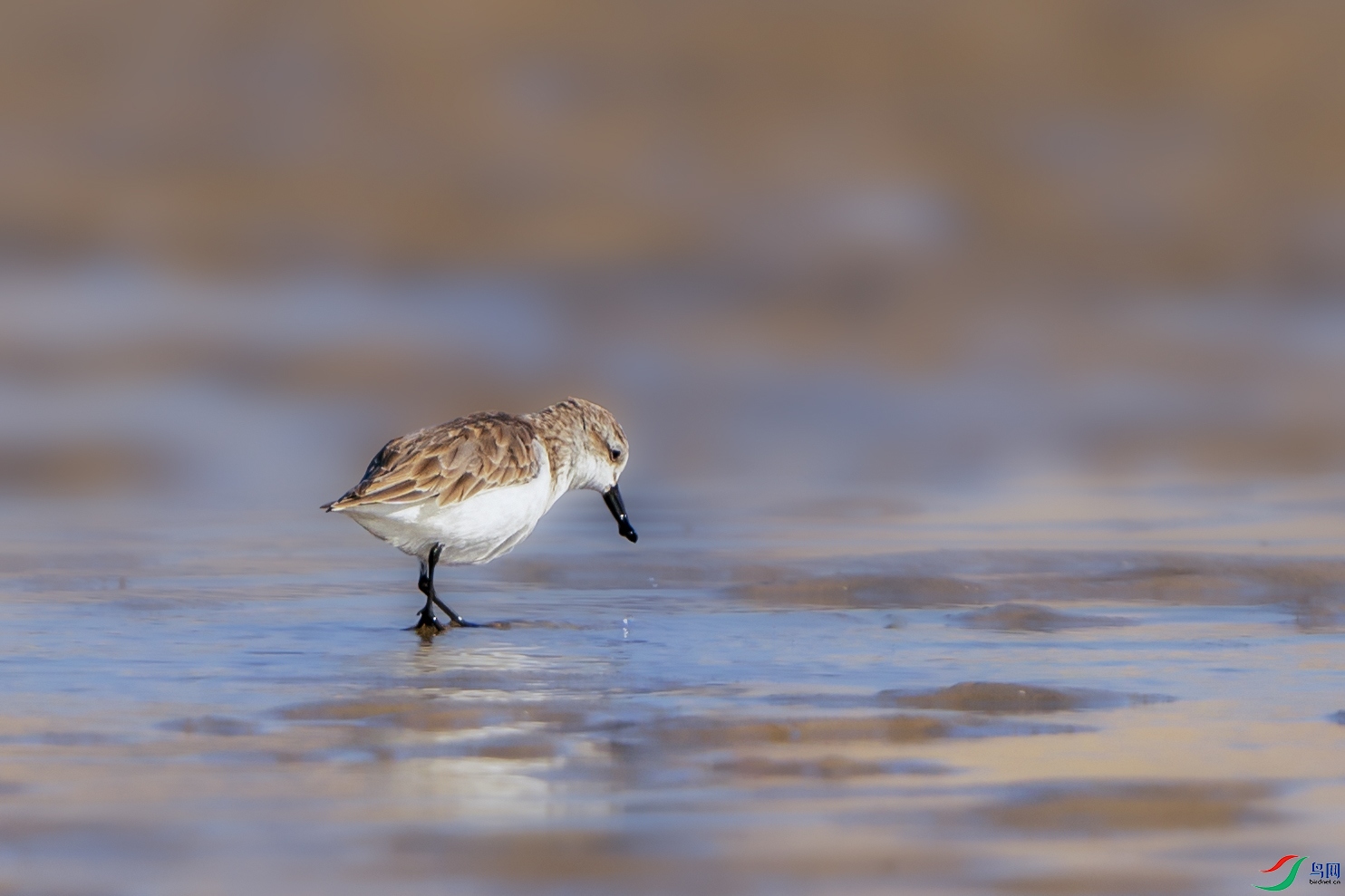 ZZX00255 ���� 2.jpg