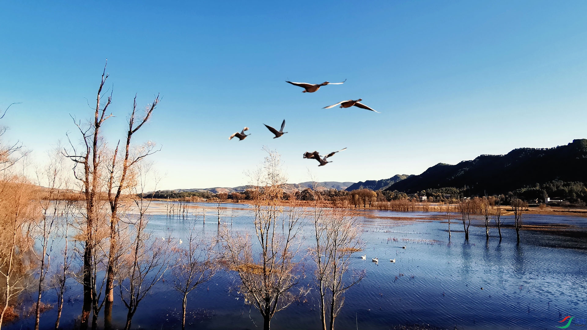 ���� 07.00_00_11_18.Still001.jpg