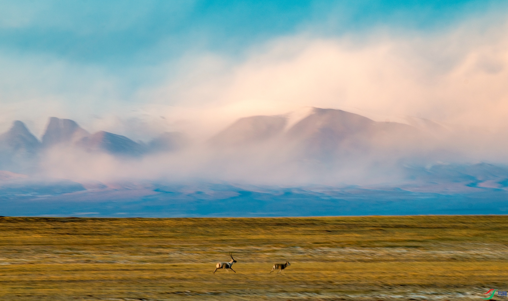 _DSC2355_����.jpg