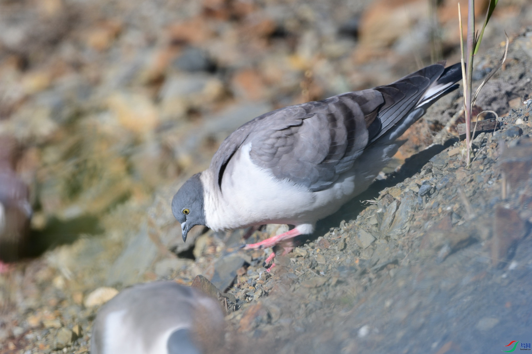 DSC_0418_������㶫.jpg