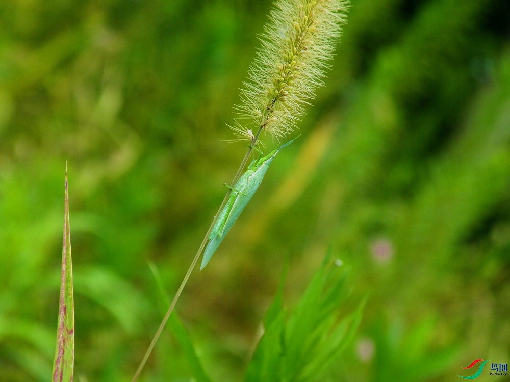 20200910�̶��01DSCF7655_����.jpg
