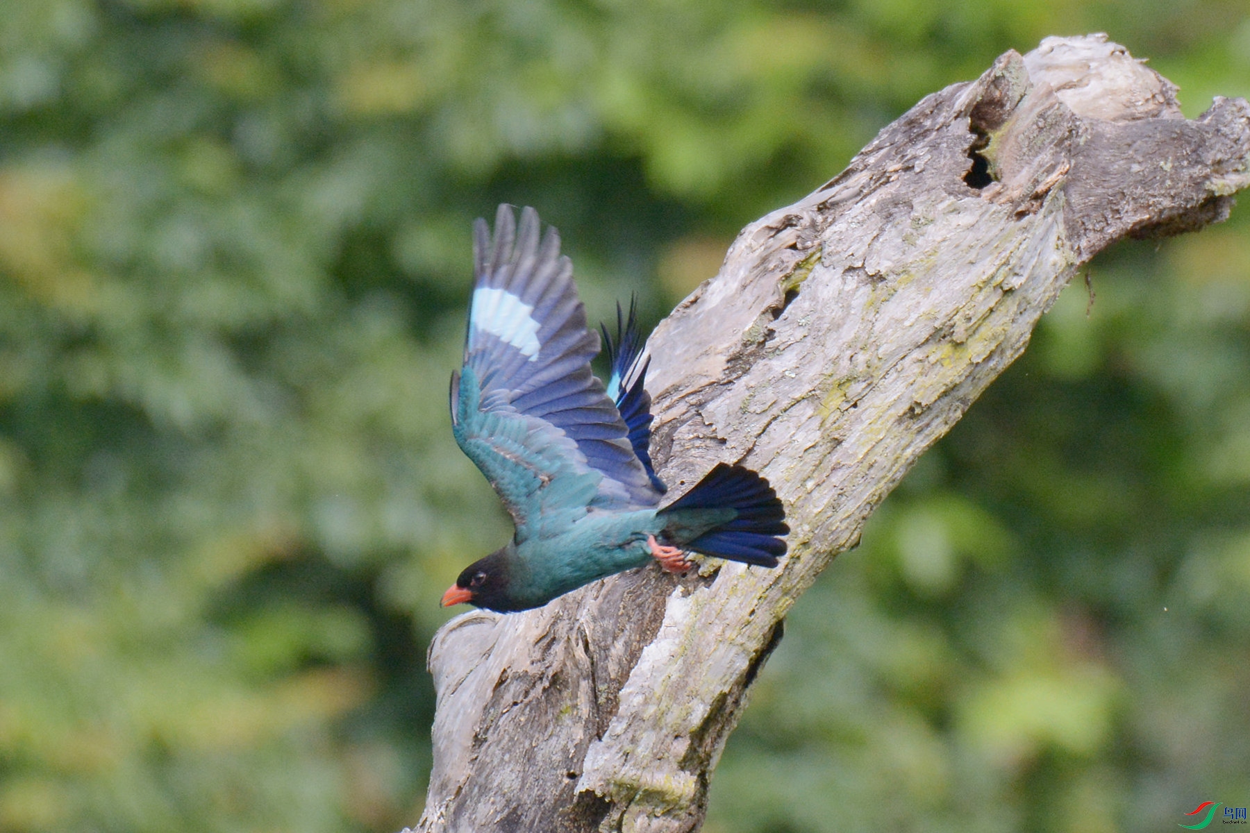 DSC_4488_�����㶫.jpg