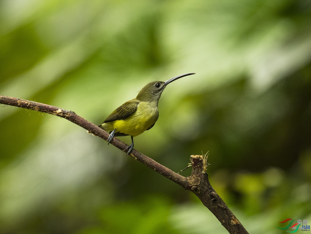 ��Ӱ����  ��ʦ����������ʡ�º���徰����������ӯ����.jpg