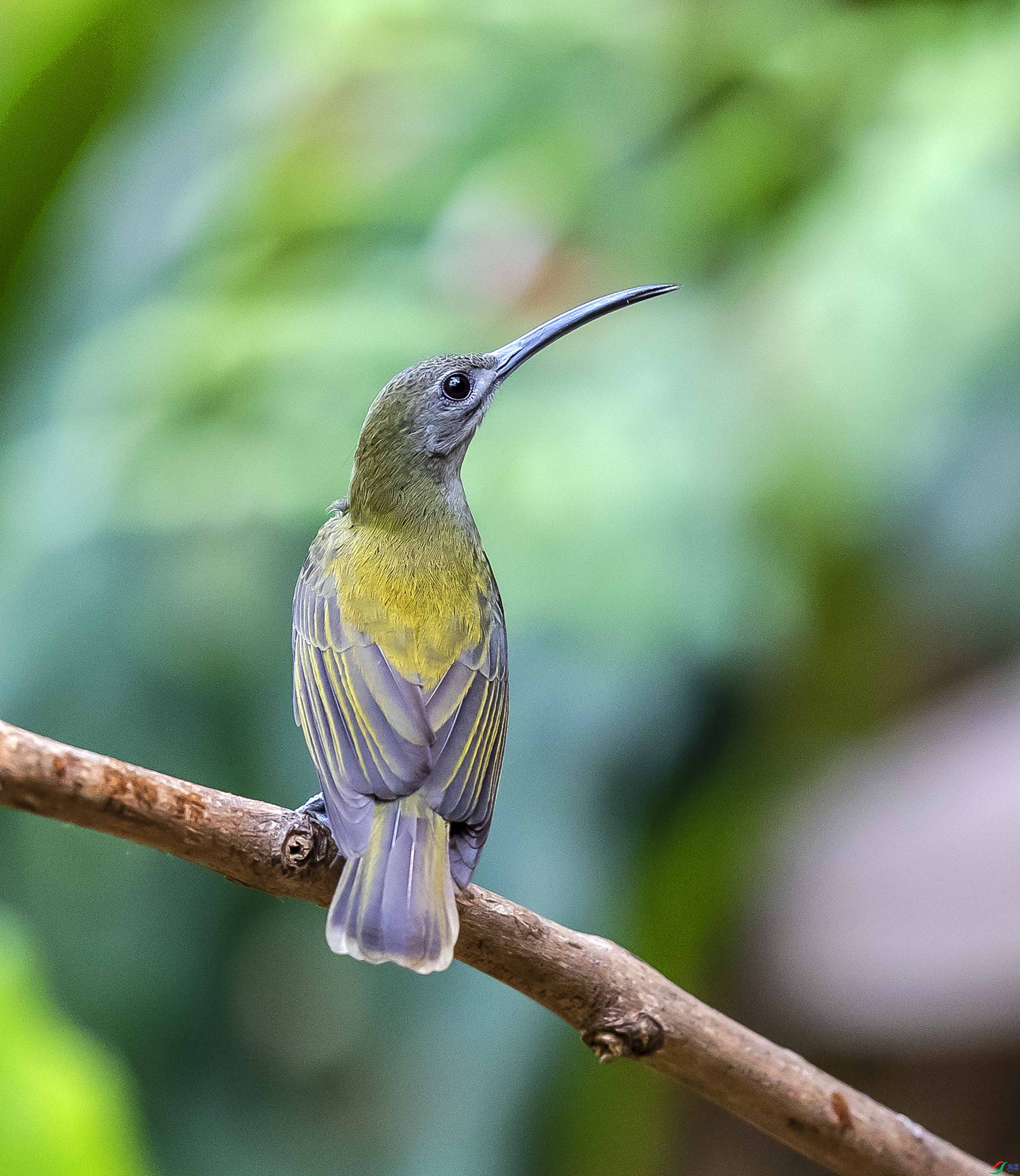 ƽ��  ��ʦ����������ʡ�º���徰����������ӯ����.jpg