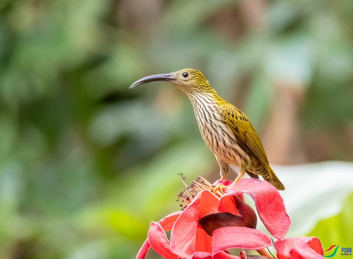 dzq5000  ��ʦ����������ʡ�ٲ��в�Դ����������.jpg