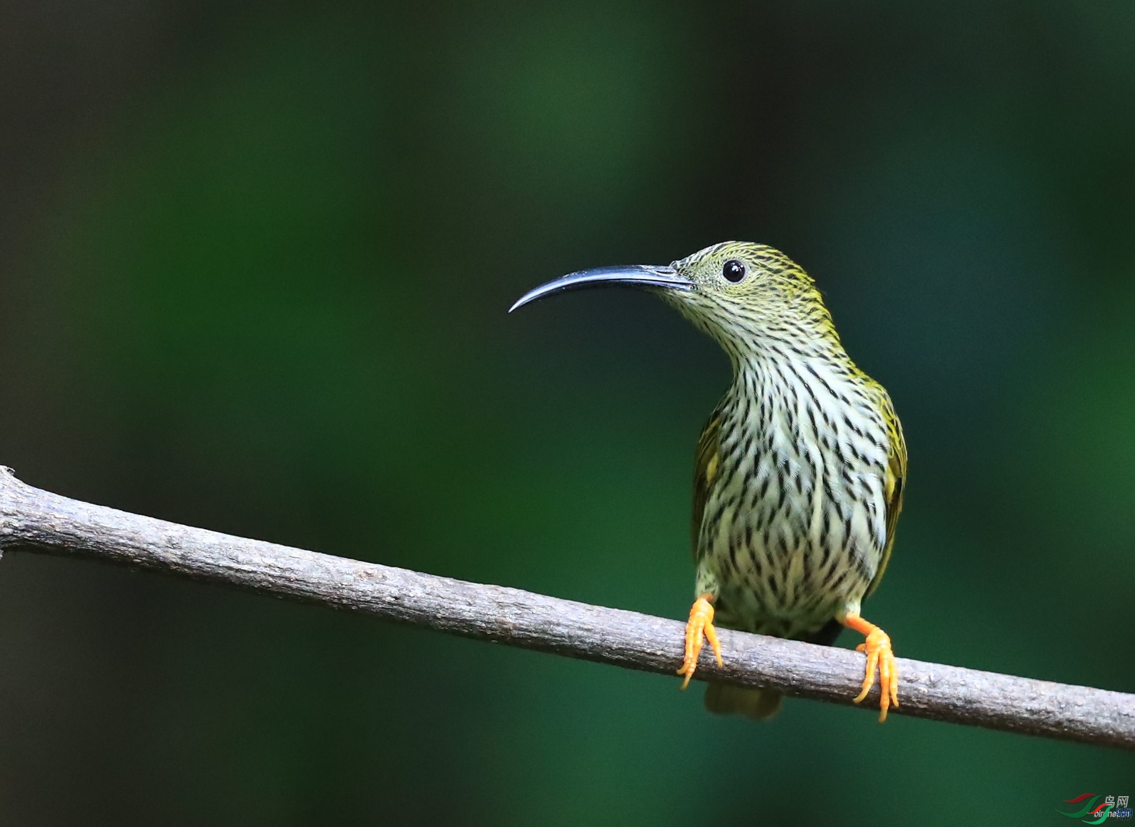 ���  ��ʦ����.jpg