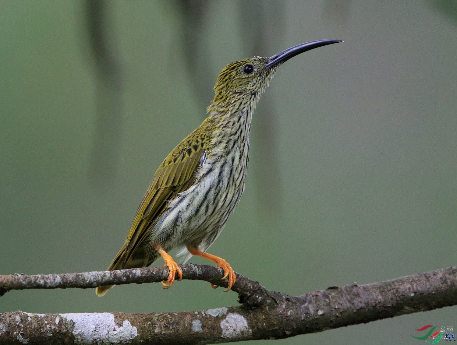 �����ʥ  ��ʦ����������ʡ.jpg