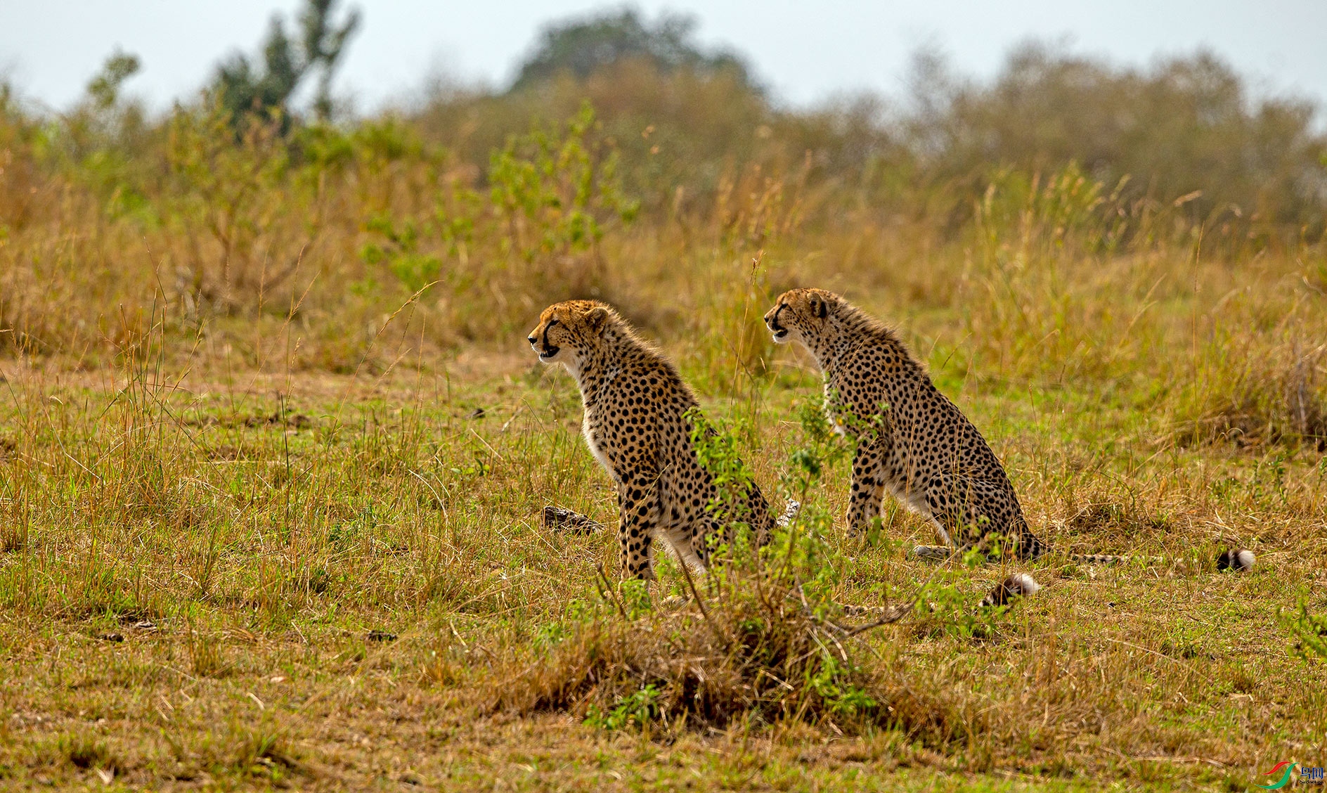 _L4I3884-3.jpg
