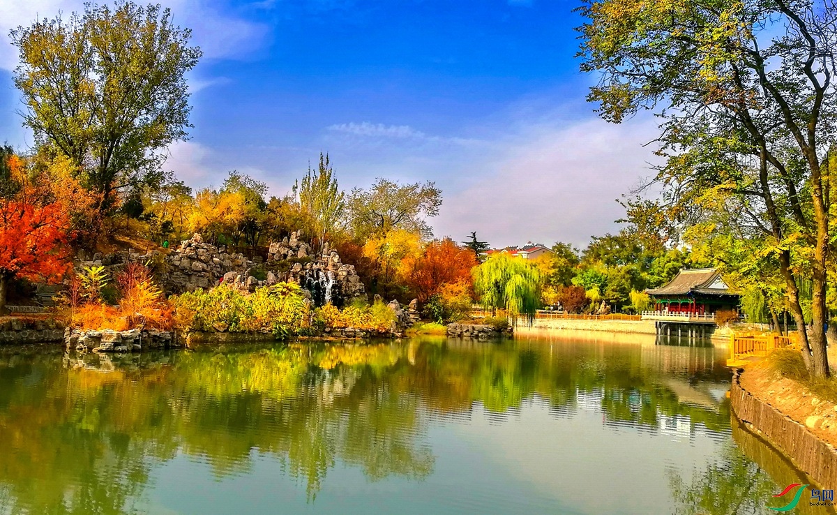 20201107 13833287556.jpg