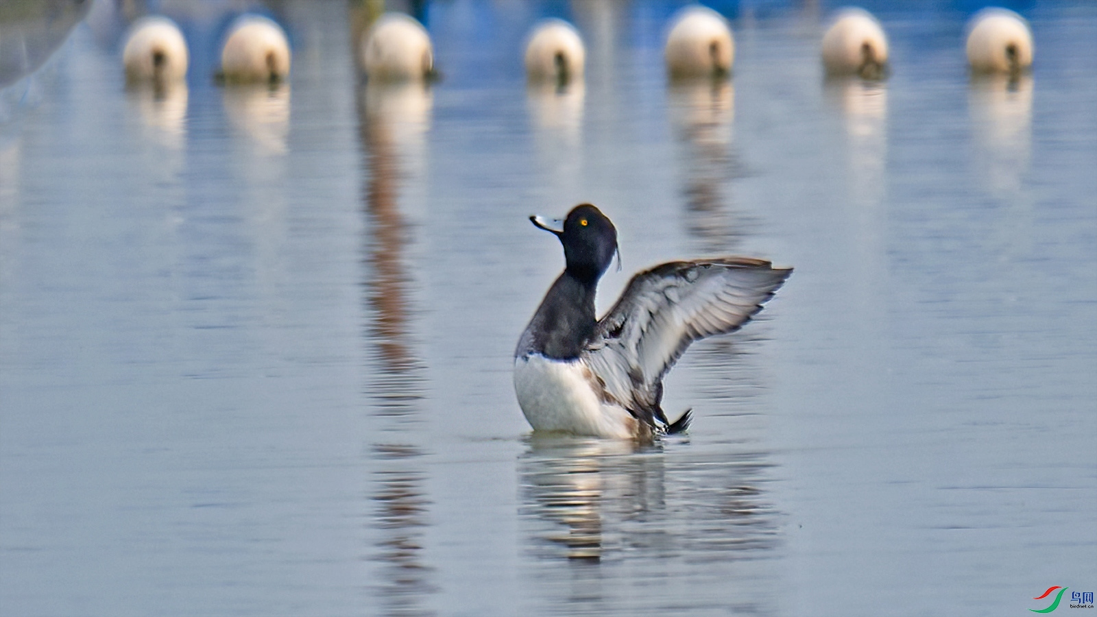 LJH_4837-1.jpg
