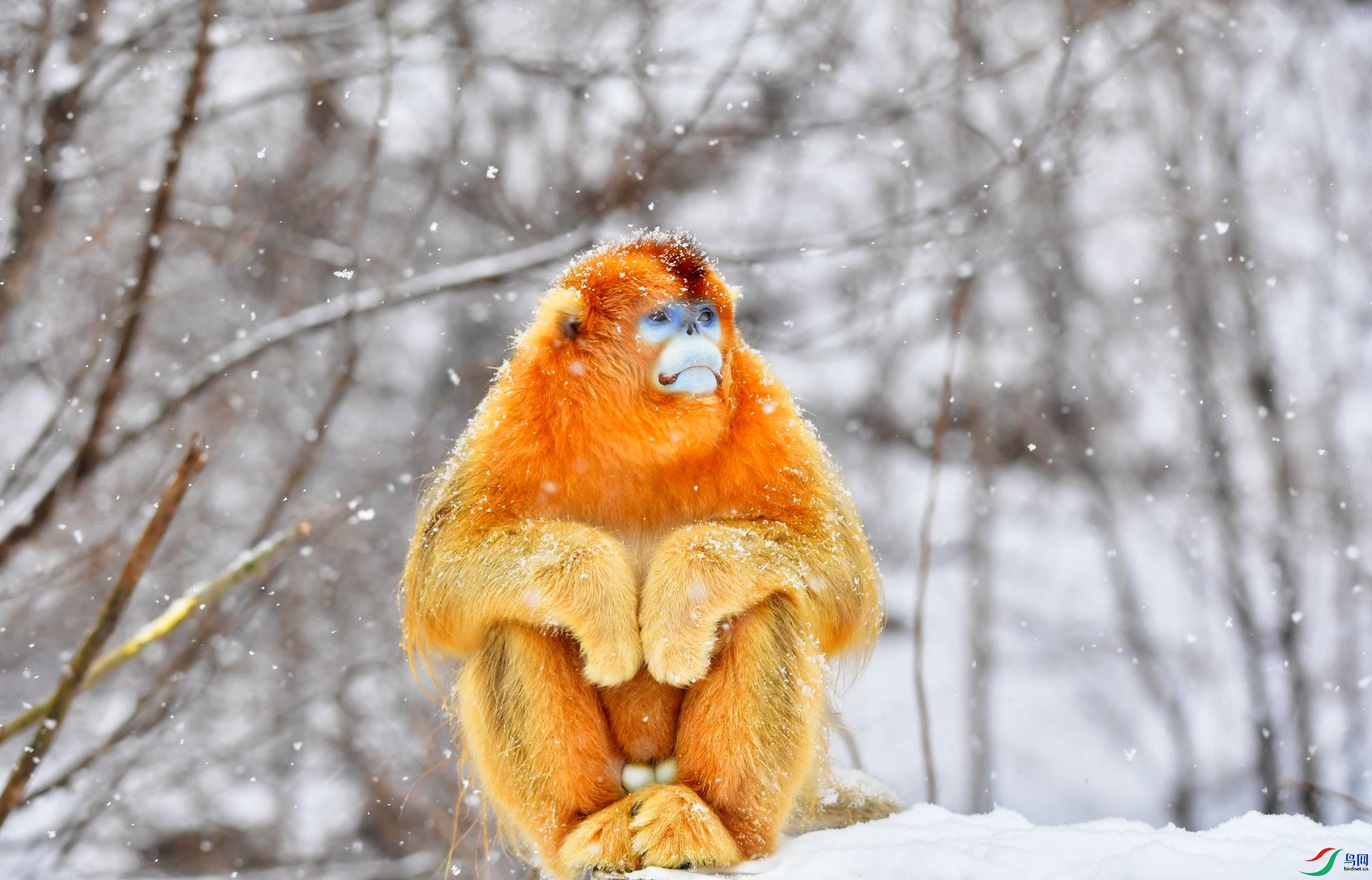 DSC_2736 (2)-Exposure.jpg