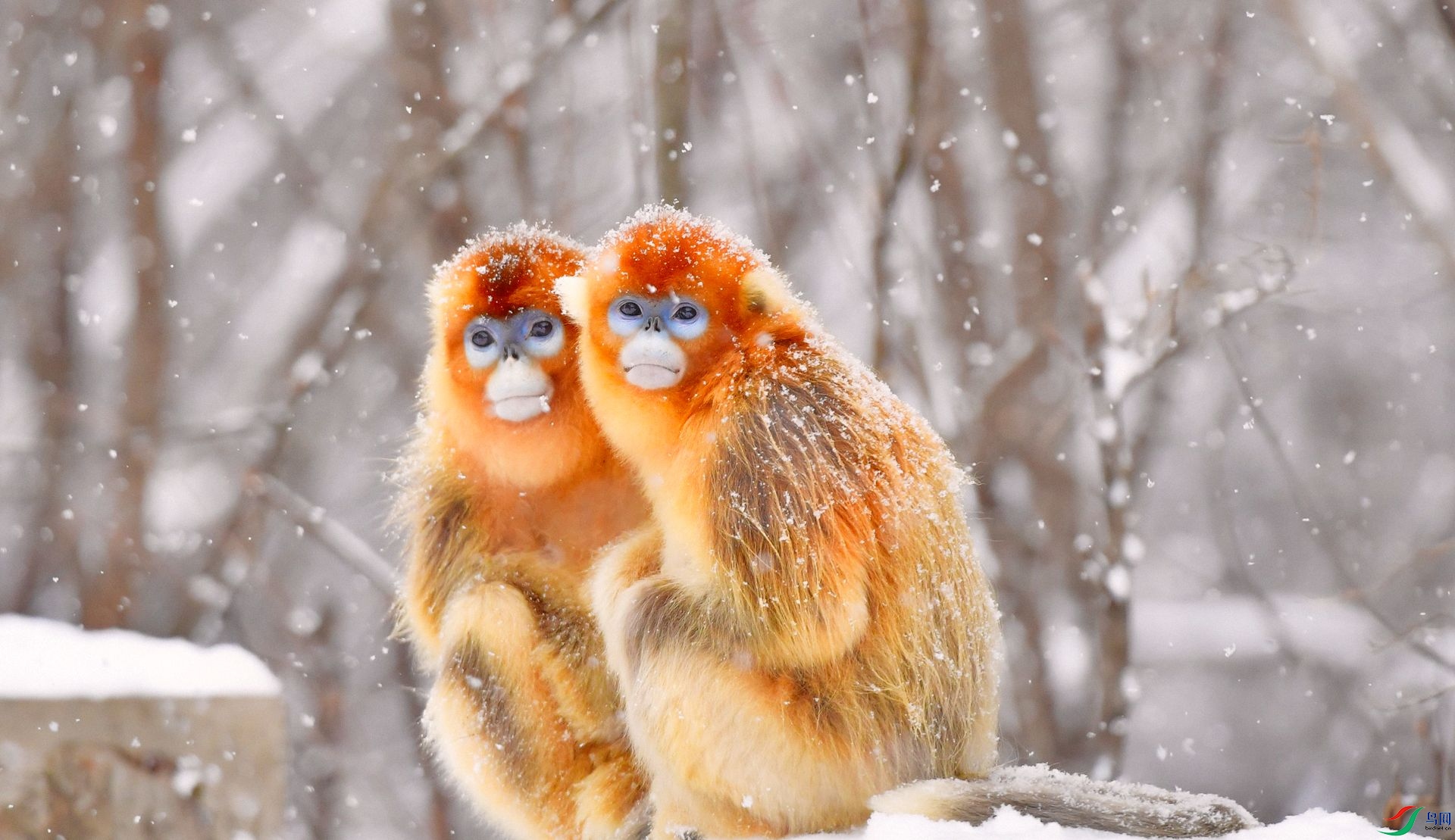 DSC_2760 (2)-Exposure.jpg