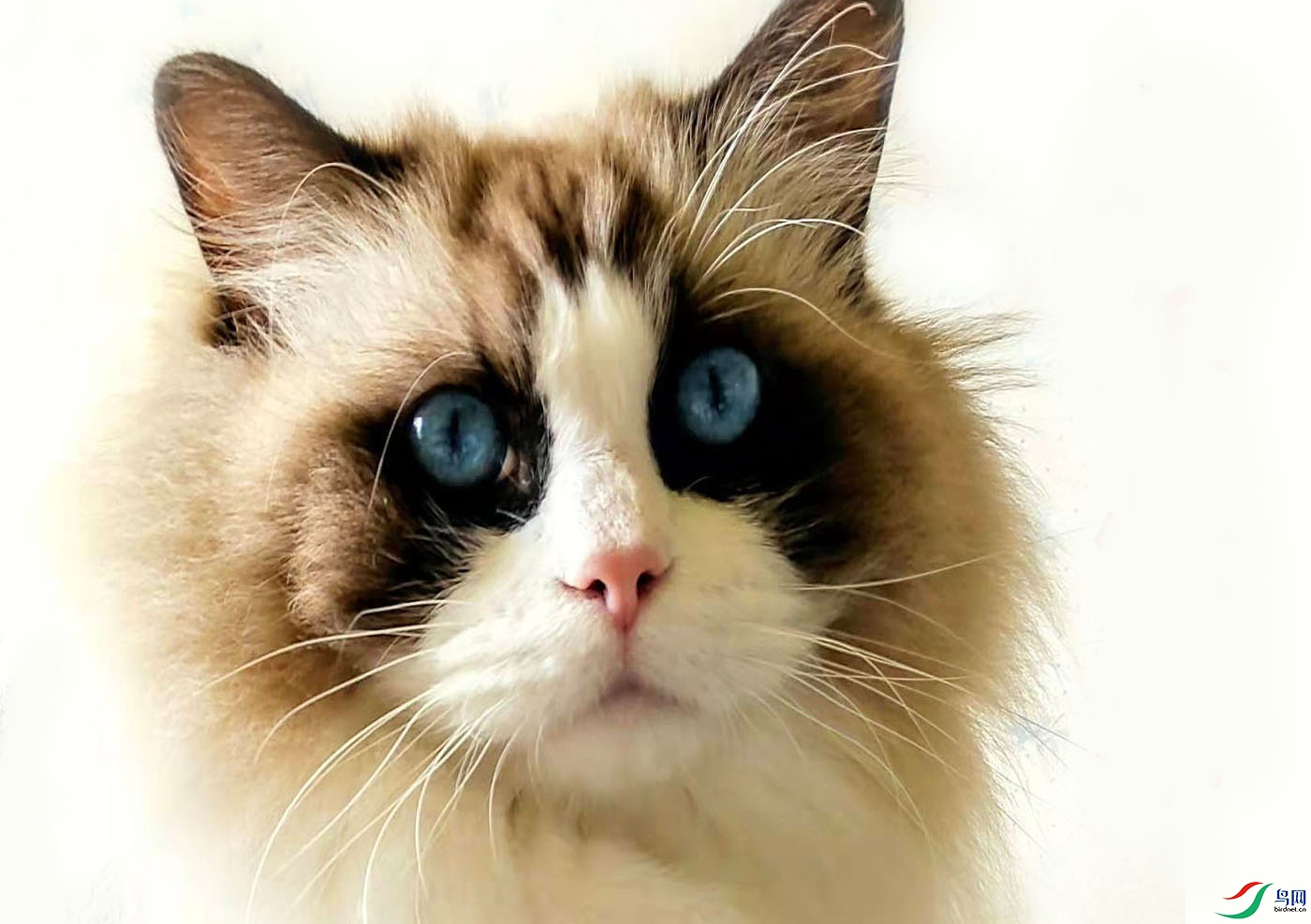 8 ��������.jpg