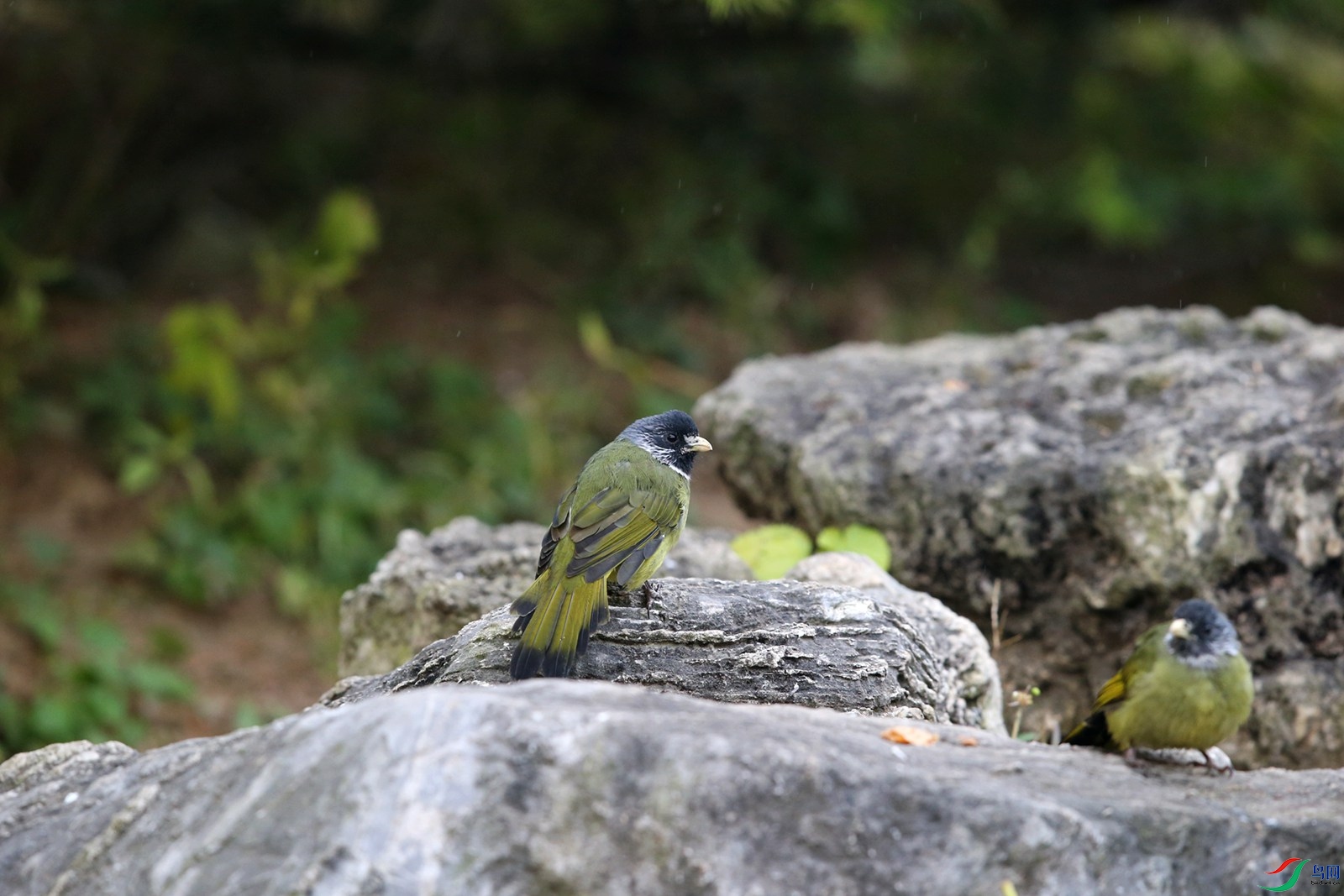 DJ4W5304.JPG