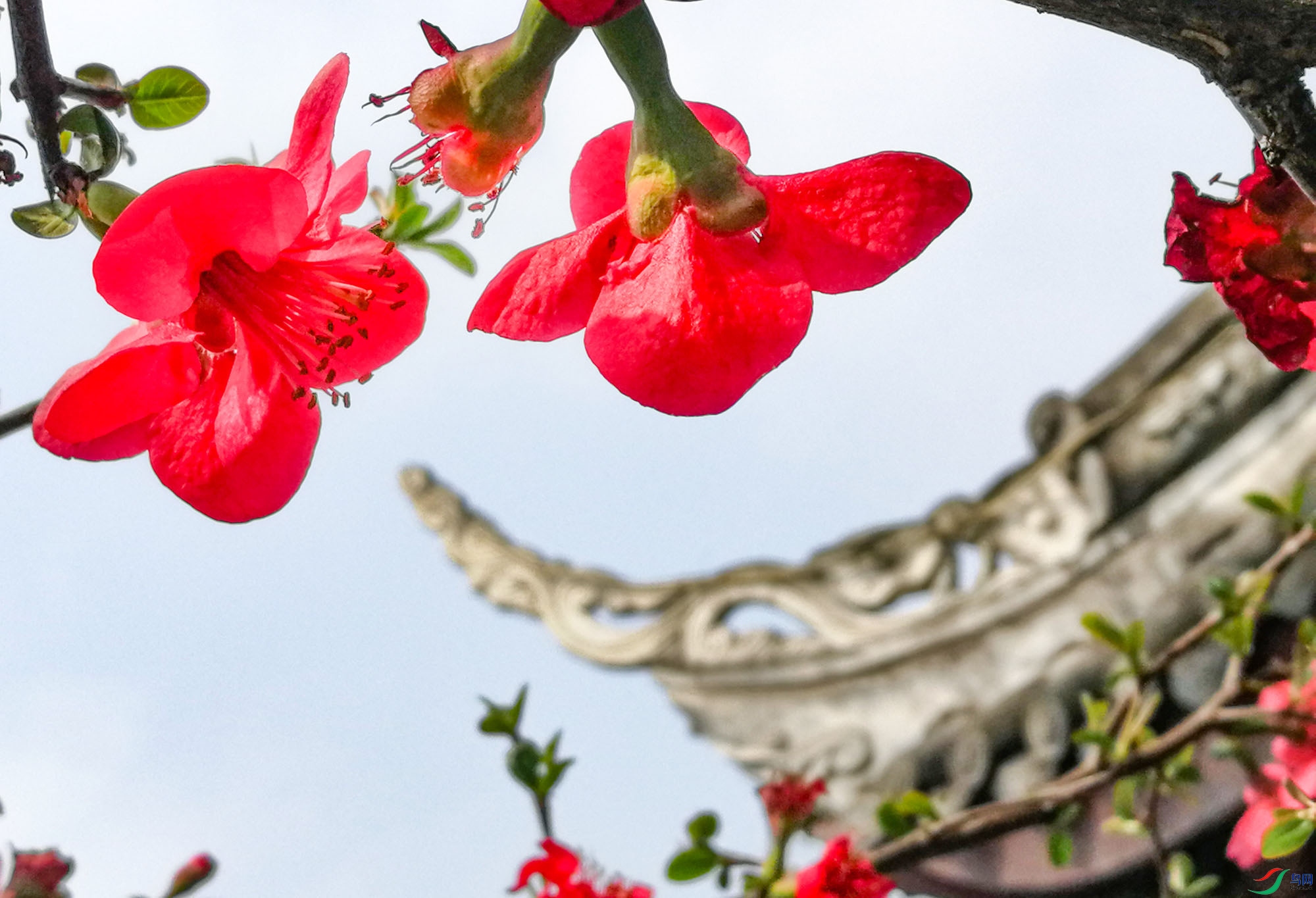 ����һ�꺣�Ŀ�