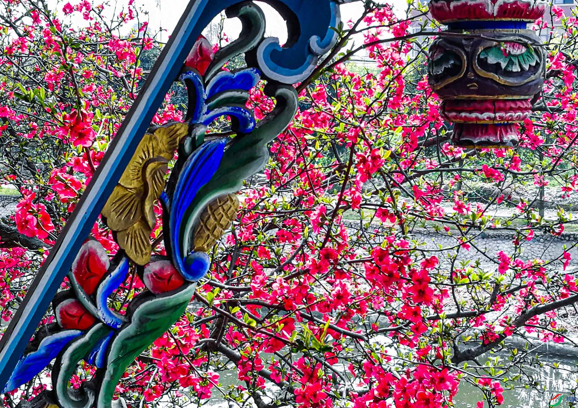 ����һ�꺣�Ŀ�