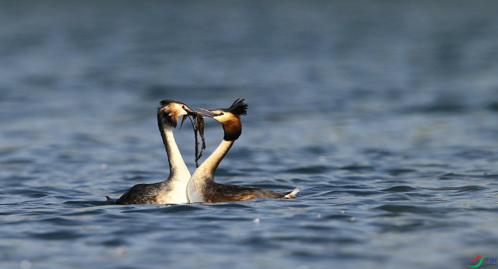 DJ4W2998���ɰ� ����03.jpg