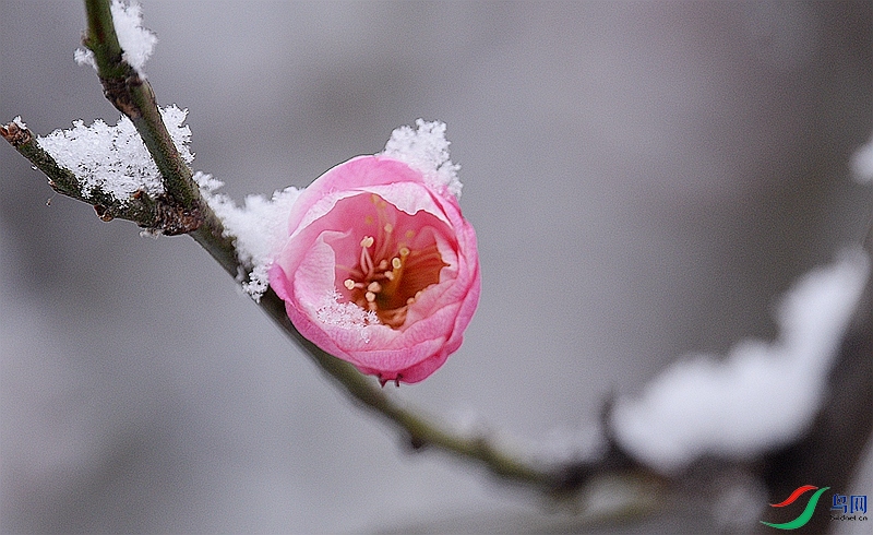 DSC_5437.JPG
