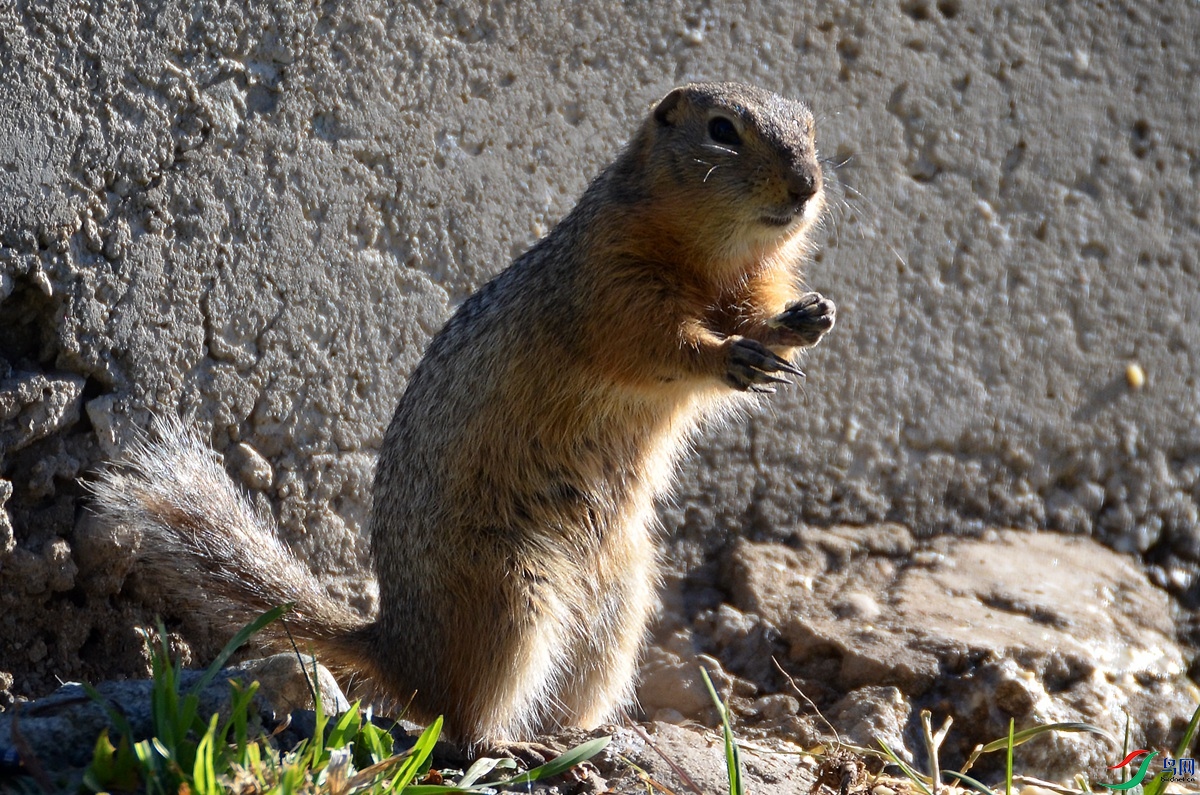 DSC_2890.jpg