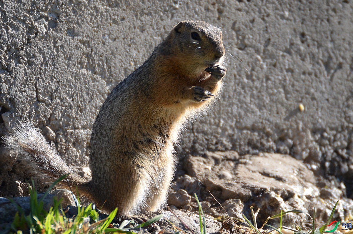 DSC_2892.jpg