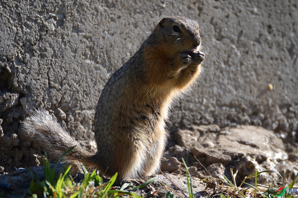 DSC_2893.jpg