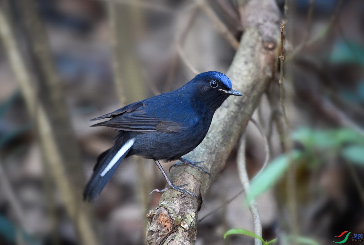 DSC_9873.jpg