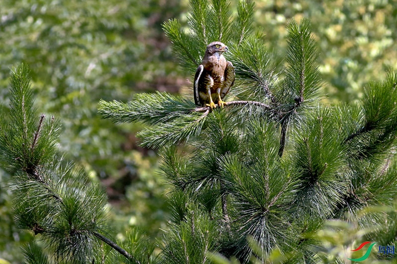 H3A8625-.jpg