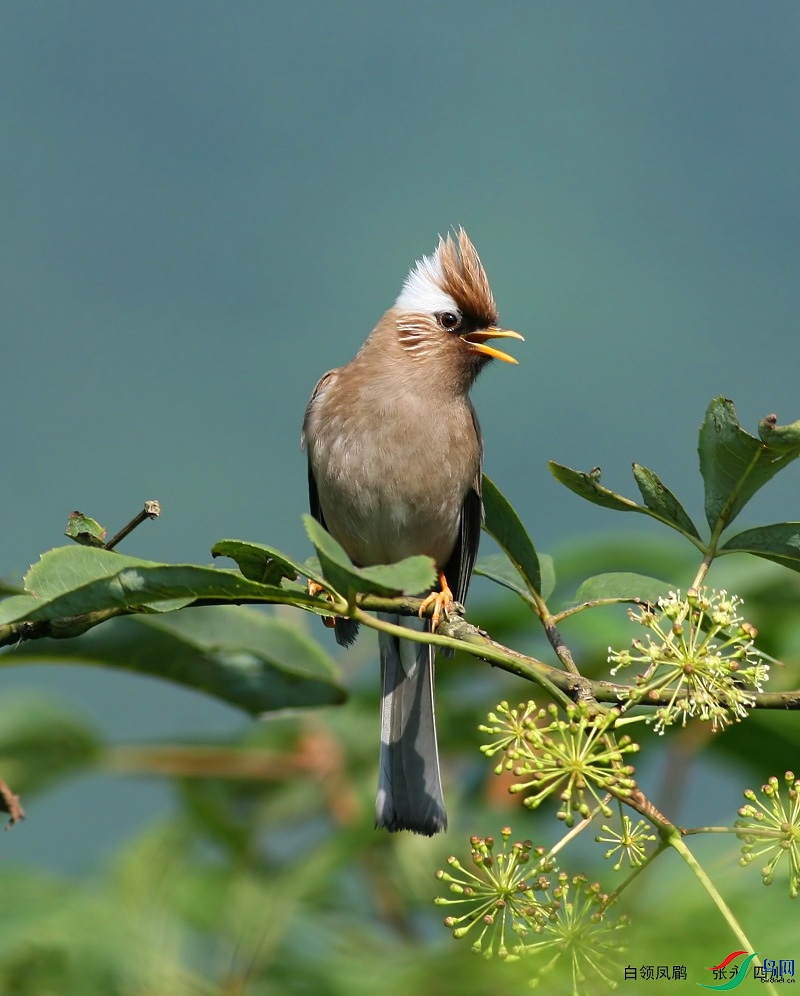 1746003562116698.jpg
