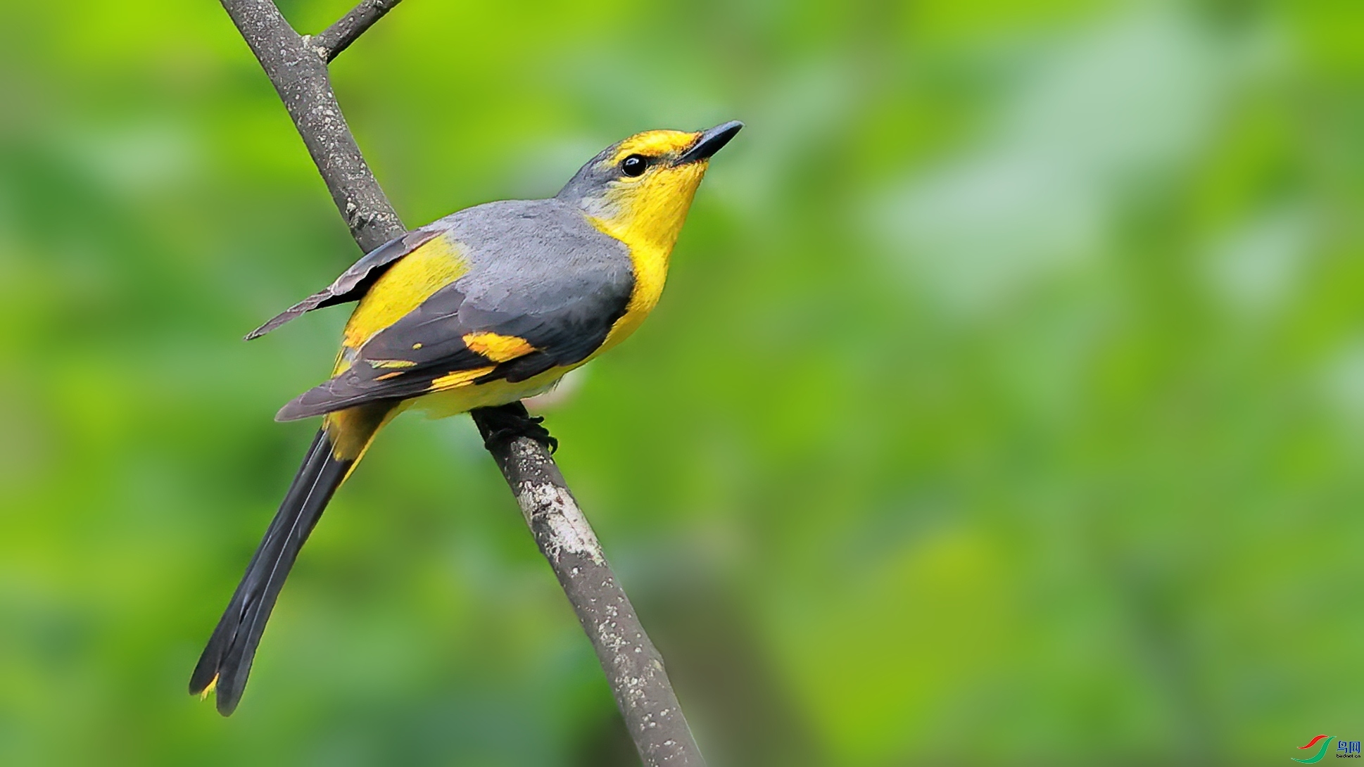 _O8I4198-DeNoiseAI-denoise (1)_����.jpg