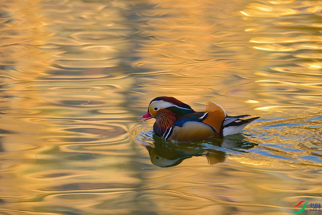 DSC_75-06.jpg