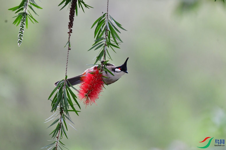 DSC_7793_��ͼ��_����2.jpg