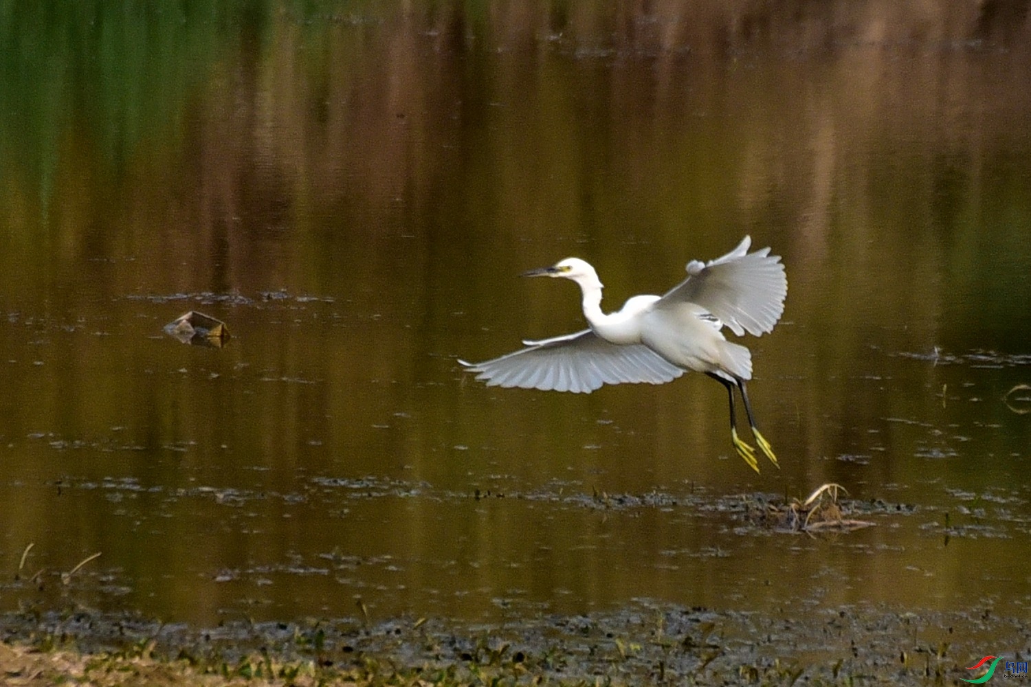 DSC_3647.JPG